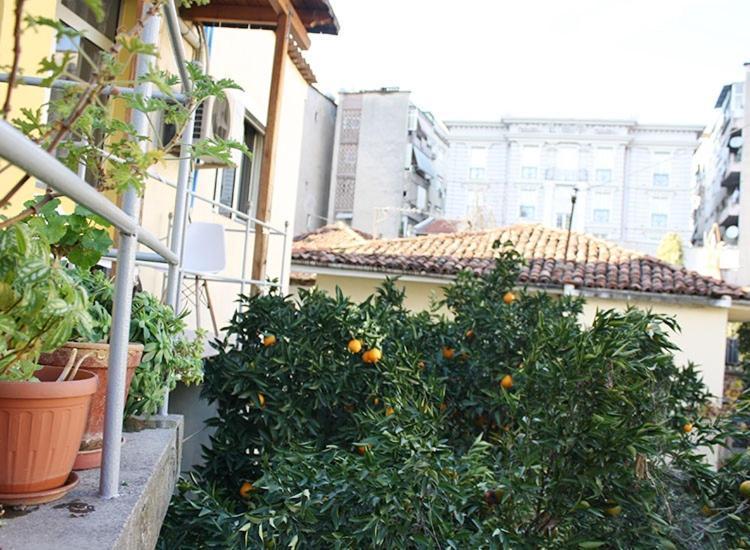 טיראנה Orange Villa Hotel מראה חיצוני תמונה